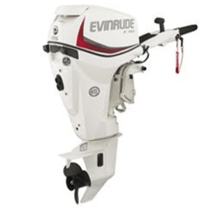 Evinrude 25 HP E-Tec E25DRG Outboard Motor 2017